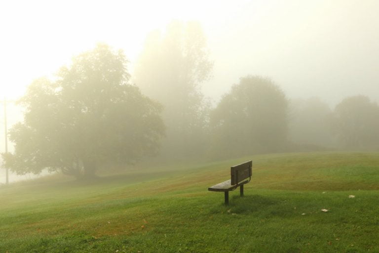 Foggy morning at the church yard, September 2020